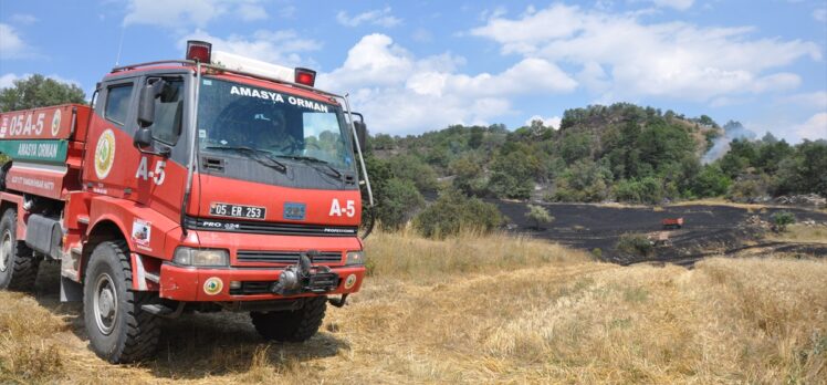 Amasya'da çıkan yangında 15 dönüm buğday ekili arazi zarar gördü