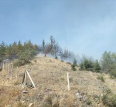 Amasya'da otluk alanda çıkıp ormana sıçrayan yangına müdahale ediliyor