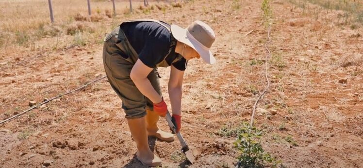 Antalya'da arıtılan atık sular tarımda kullanılmaya başlandı