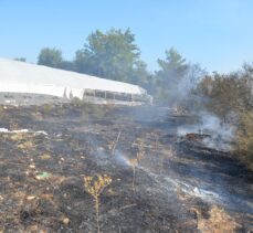 Antalya'da otluk alanda başlayan yangın ormana ve seralara sıçradı