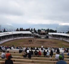 Artvin'de “43. Kafkasör Kültür, Turizm ve Sanat Festivali” boğa güreşleriyle sürdü