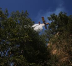 GÜNCELLEME – Aydın'da kontrol altına alınan ormanlık ve zeytinlik alandaki yangın yeniden yükseldi