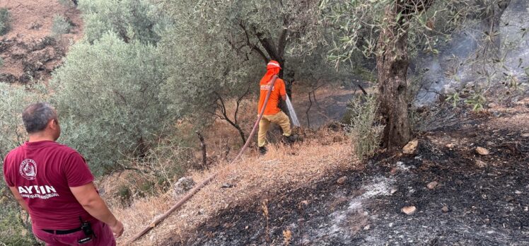 GÜNCELLEME – Aydın'da zeytinlik ve ormanlık alanda çıkan yangın kontrol altına alındı