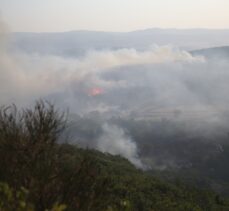 GÜNCELLEME 3 – Balıkesir'de çıkan orman yangınına müdahale ediliyor