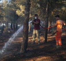 GÜNCELLEME 2 – Balıkesir'de çıkan orman yangınına müdahale ediliyor