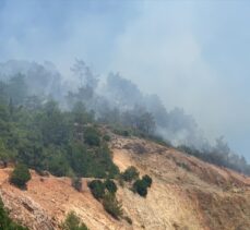 Balıkesir'in Havran ilçesinde çıkan orman yangınına müdahale ediliyor