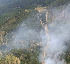 Balıkesir'in İvrindi ilçesinde çıkan orman yangınına müdahale ediliyor