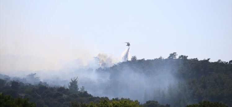 GÜNCELLEME – Bodrum'da orman yangını çıktı