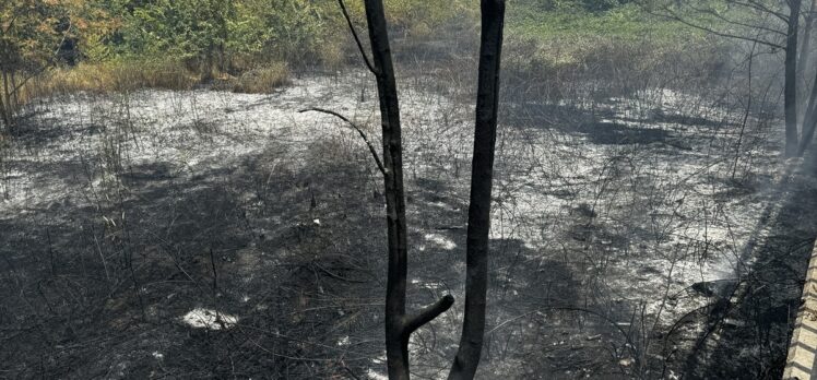 Bursa'da ağaçlık alanda çıkan yangın söndürüldü