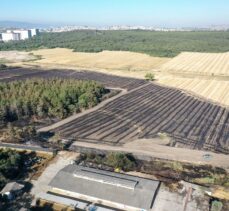 Bursa'da yangından zarar gören kampüsteki ormanlık alan dronla görüntülendi