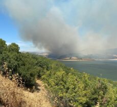 Çanakkale'de tarım arazisinde çıkıp ormanlık alana sıçrayan yangına müdahale ediliyor