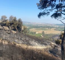 Çanakkale'nin Ayvacık ilçesinde çıkan orman yangını kontrol altına alındı