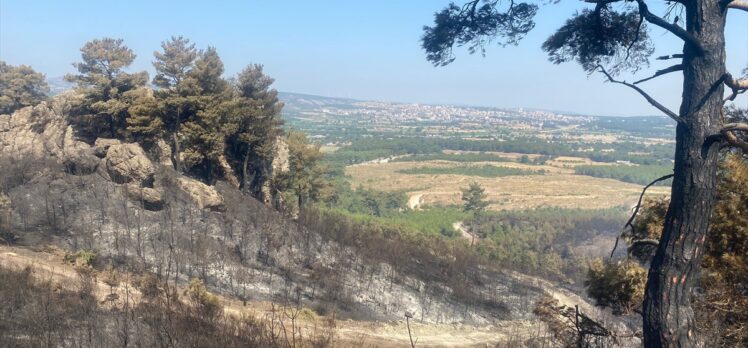 Çanakkale'nin Ayvacık ilçesinde çıkan orman yangını kontrol altına alındı