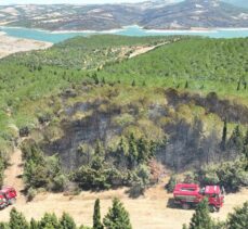 Çanakkale'nin Bayramiç ilçesinde çıkan orman yangınına müdahale ediliyor