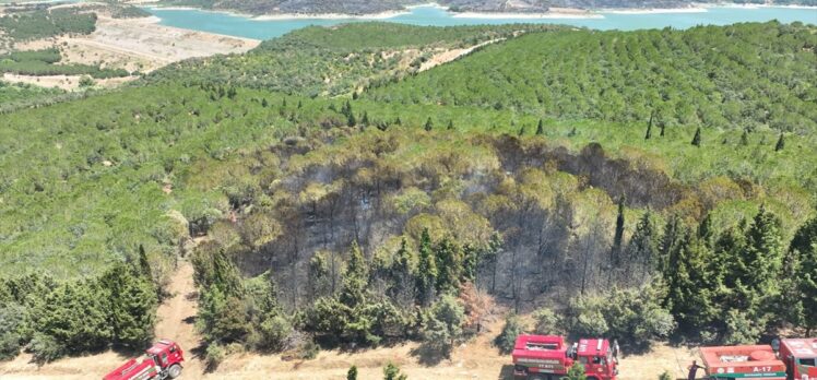 Çanakkale'nin Bayramiç ilçesinde çıkan orman yangınına müdahale ediliyor