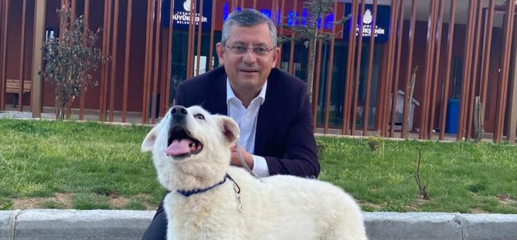 CHP Genel Başkanı Özel'den sahipsiz hayvanlara ilişkin kanun teklifine yönelik açıklama: