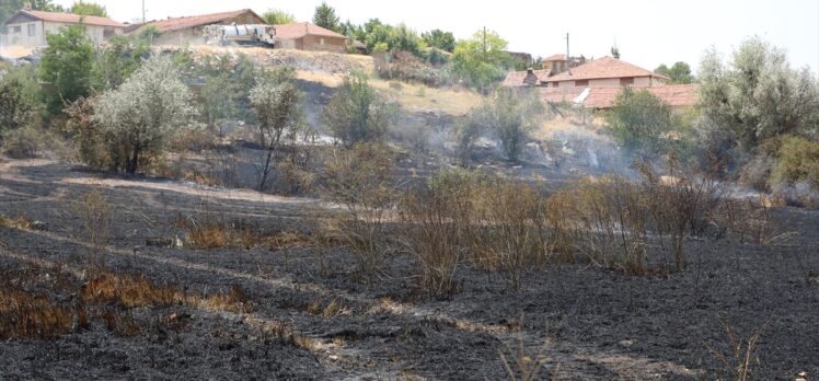 Çorum'da otların tutuşturulmasıyla başlayan yangında 31 dekar ekili alan yandı