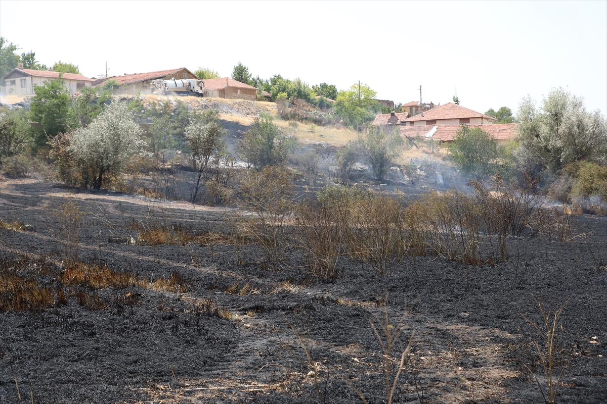Çorum'da otların tutuşturulmasıyla başlayan yangında 31 dekar ekili alan yandı