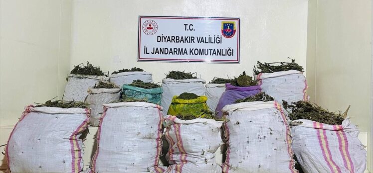 Diyarbakır'da 1 milyon 123 bin 500 kök kenevir, 135 kilogram esrar ele geçirildi