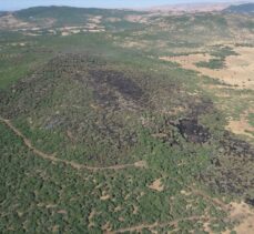 Elazığ'da ormanlık alanda çıkan yangın kontrol altına alındı