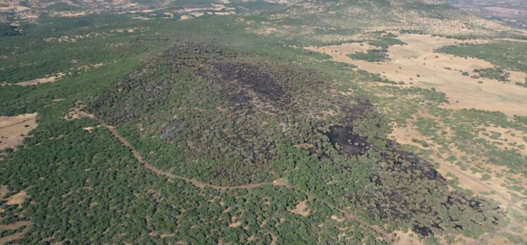 Elazığ'da ormanlık alanda çıkan yangın kontrol altına alındı