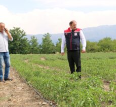 Erzincan’da etkili olan dolu tarım alanlarına zarar verdi