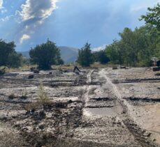 Erzincan'da sağanak nedeniyle bazı turistik işletmeleri su bastı