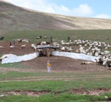 Erzurum'daki Dumlubaba Yaylası'nda göçerlerin günlük yaşamı zorlu geçiyor