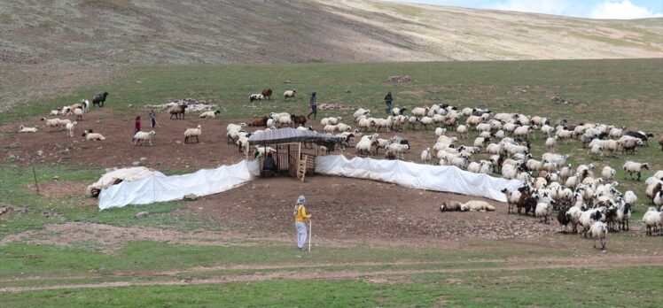 Erzurum'daki Dumlubaba Yaylası'nda göçerlerin günlük yaşamı zorlu geçiyor