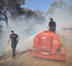 Fethiye'de zeytinlikten ormanlık alana sıçrayan yangın söndürüldü