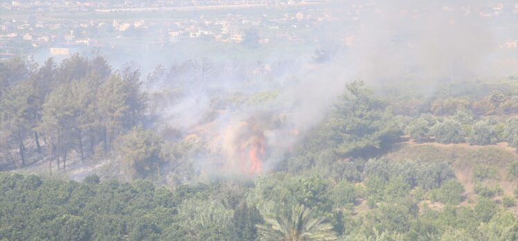 GÜNCELLEME – Hatay'da çıkan orman yangını kontrol altına alındı