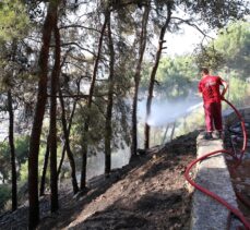 Hatay'da çıkan orman yangını büyümeden söndürüldü