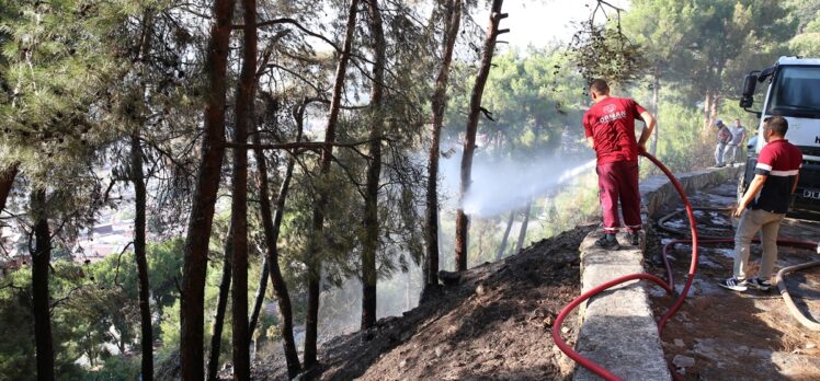 Hatay'da çıkan orman yangını büyümeden söndürüldü