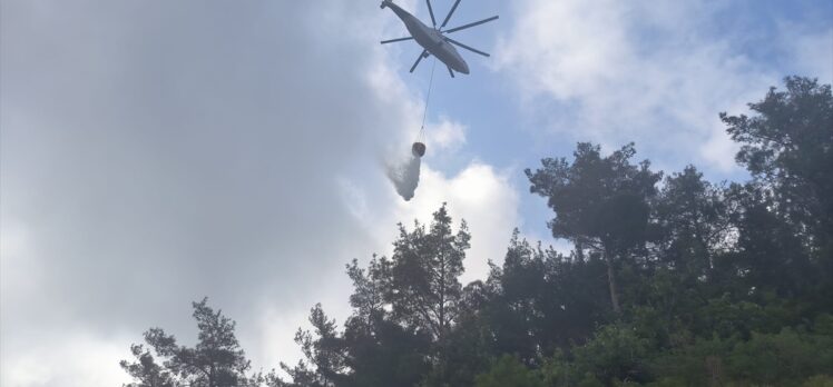 Hatay'da çıkan orman yangınına müdahale ediliyor