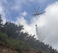 GÜNCELLEME – Hatay'da çıkan orman yangını kontrol altına alındı