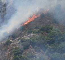 İsrail'in Lübnan'ın güneyine fosfor bombasıyla düzenlediği saldırı orman yangınlarına neden oldu