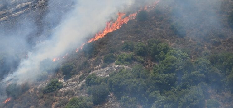 İsrail'in Lübnan'ın güneyine fosfor bombasıyla düzenlediği saldırı orman yangınlarına neden oldu