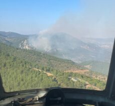 İzmir Bergama'da ormanlık alanda çıkan yangına müdahale ediliyor