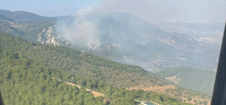 İzmir Bergama'da ormanlık alanda çıkan yangına müdahale ediliyor