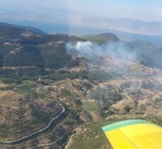 İzmir'de çıkan orman yangınına müdahale ediliyor