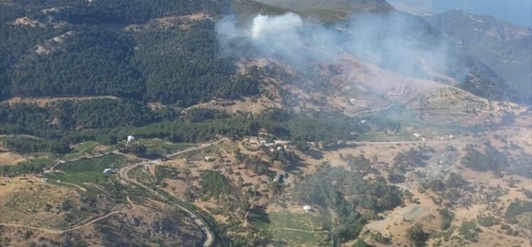 İzmir'de çıkan orman yangınına müdahale ediliyor