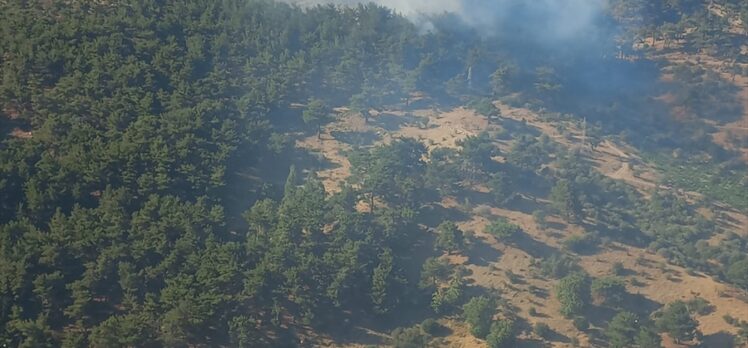 GÜNCELLEME – İzmir'de çıkan orman yangını kontrol altına alındı