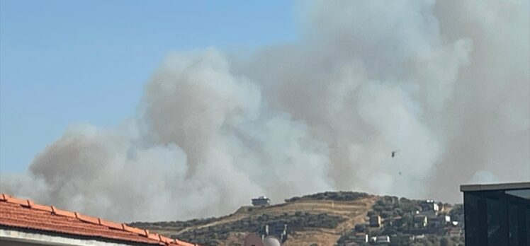 İzmir'in Foça ilçesinde orman yangını çıktı