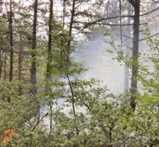 Kastamonu'da çıkan orman yangınına müdahale ediliyor