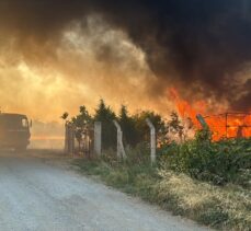 Kırklareli'nde bağ evi yanarak kullanılamaz hale geldi