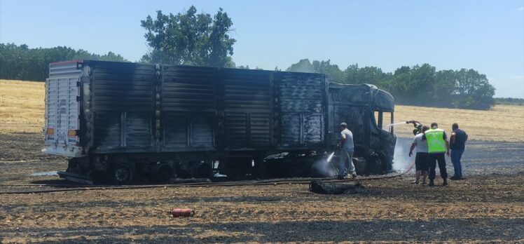 Kırklareli'nde buğday yüklü tırda çıkan yangın anızlık alana sıçradı