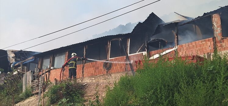 Kocaeli'de ahır yangınında 1 kişi yaralandı