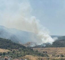 GÜNCELLEME – Manisa Soma'da çıkan orman yangını kontrol altına alındı