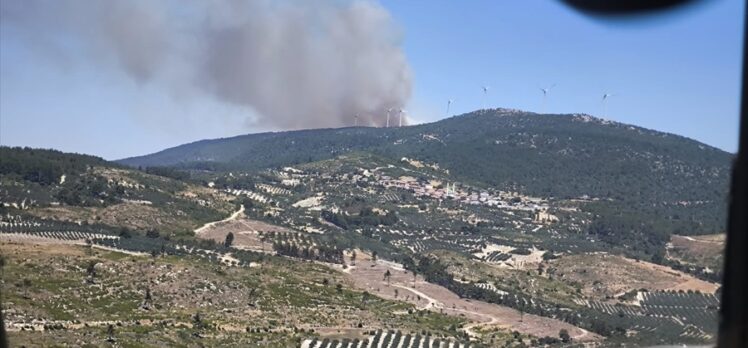 Manisa'nın Soma ilçesinde çıkan orman yangınına müdahale ediliyor