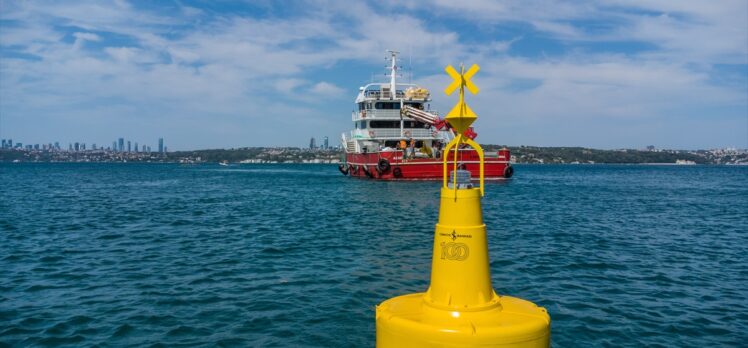 Marmara Denizi ve İstanbul Boğazı'ndaki deniz çayırları şamandıralarla korunacak